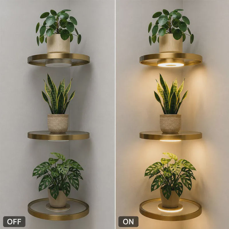 Svävande Vägghylla med Ambient LED-ljus 🪴 Modern Växtdisplay