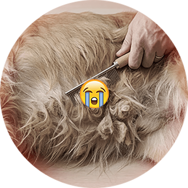 Smart Tovutredare med Dolda Säkerhetsblad