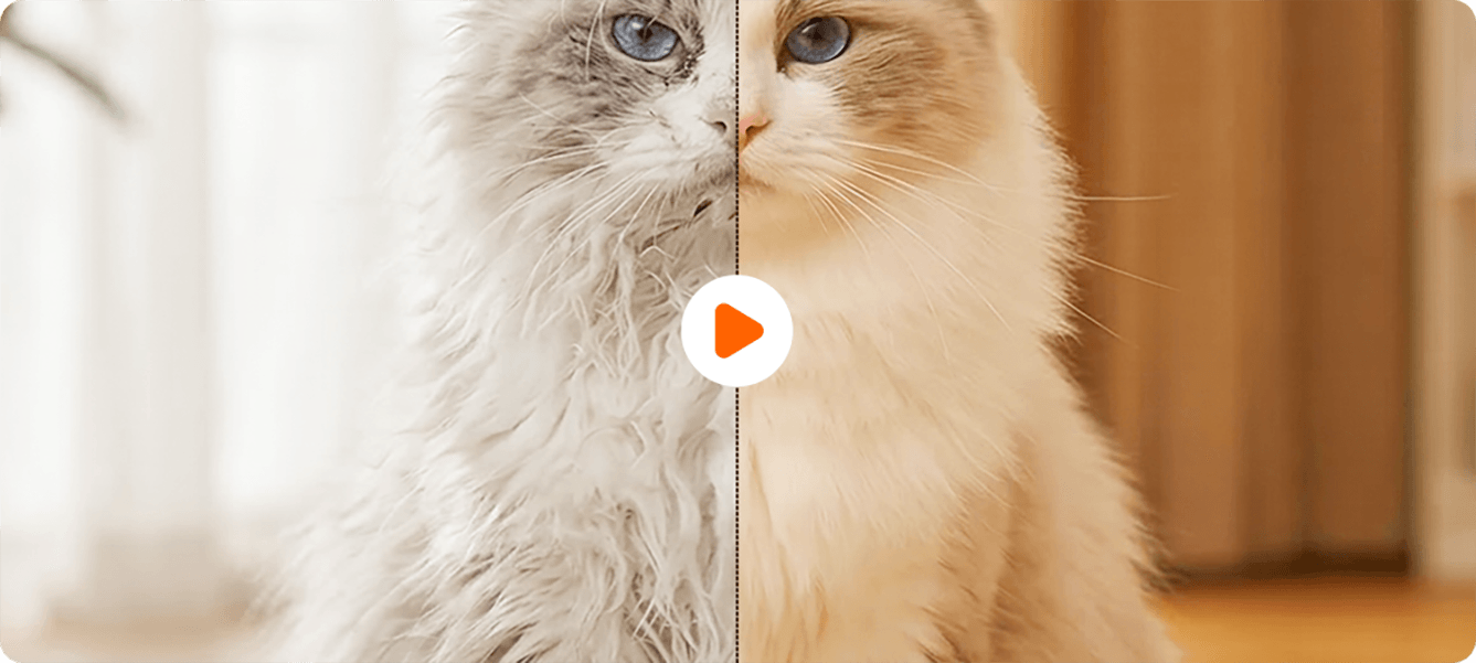 Smart Tovutredare med Dolda Säkerhetsblad