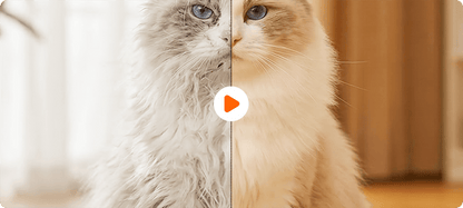 Smart Tovutredare med Dolda Säkerhetsblad