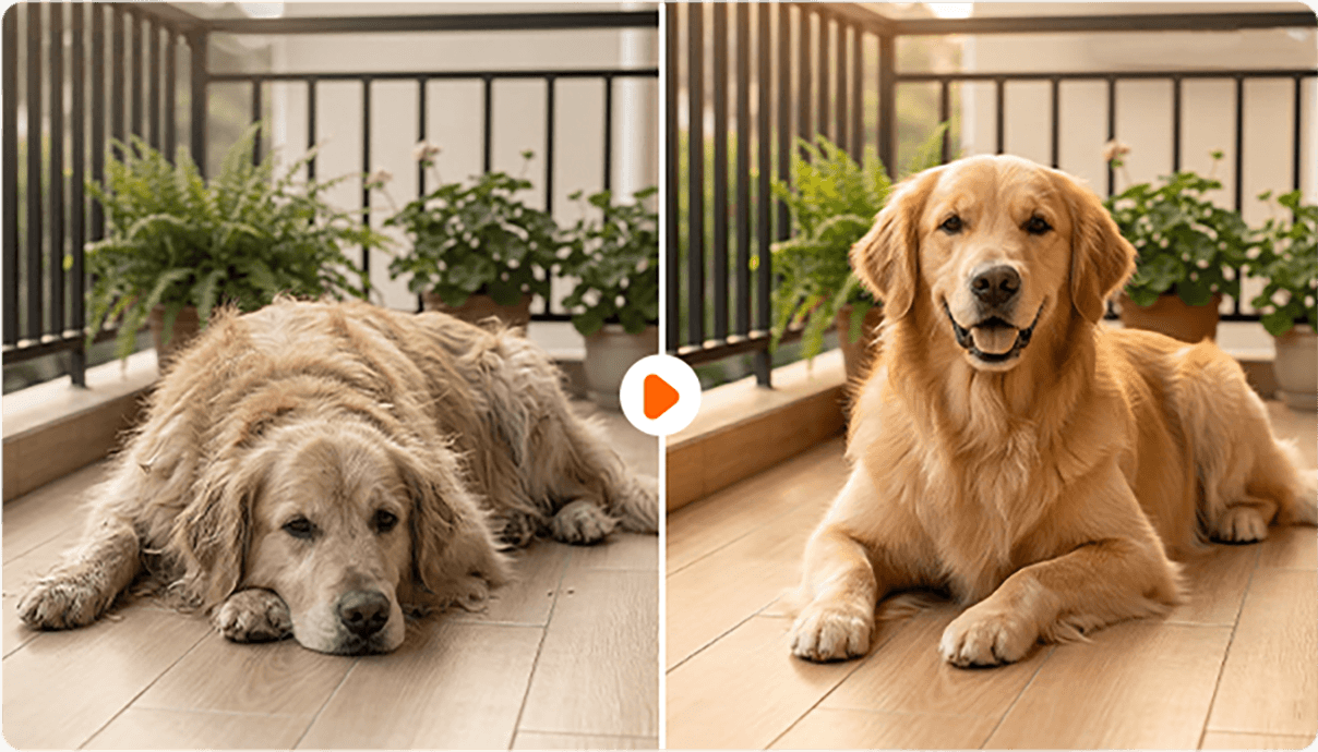 Smart Tovutredare med Dolda Säkerhetsblad