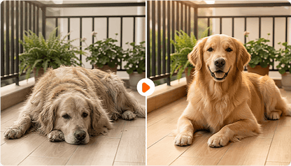 Smart Tovutredare med Dolda Säkerhetsblad