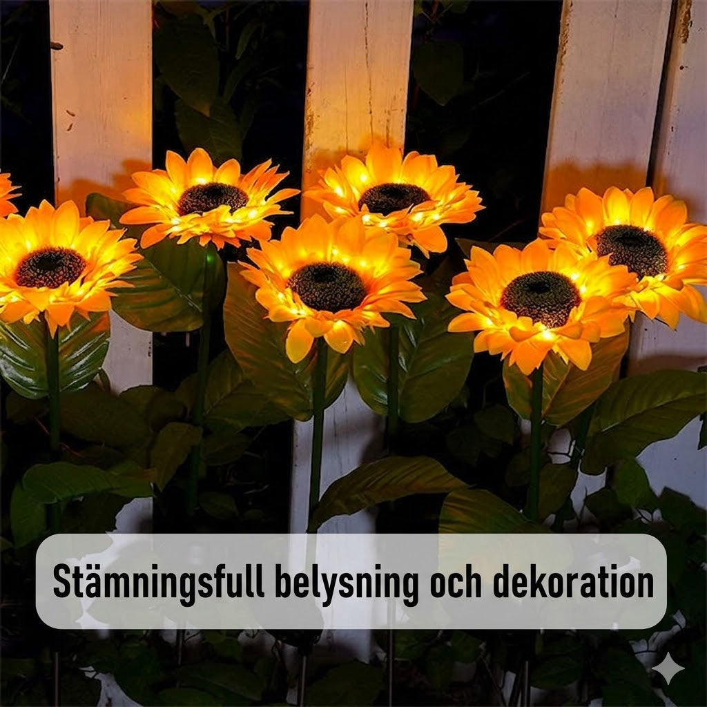 Solcellsdriven Solroslampa – Automatisk Belysning & IP65 Vattentät (14h Ljus)