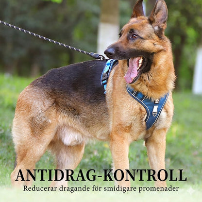 Antidrag-sele med Koppel & LED-halsband – Ergonomisk, Reflex & Perfekt för Nattpromenader