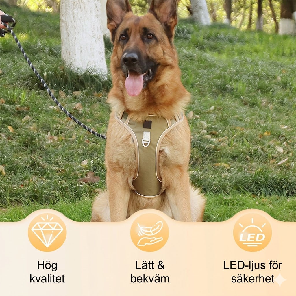 Antidrag-sele med Koppel & LED-halsband – Ergonomisk, Reflex & Perfekt för Nattpromenader