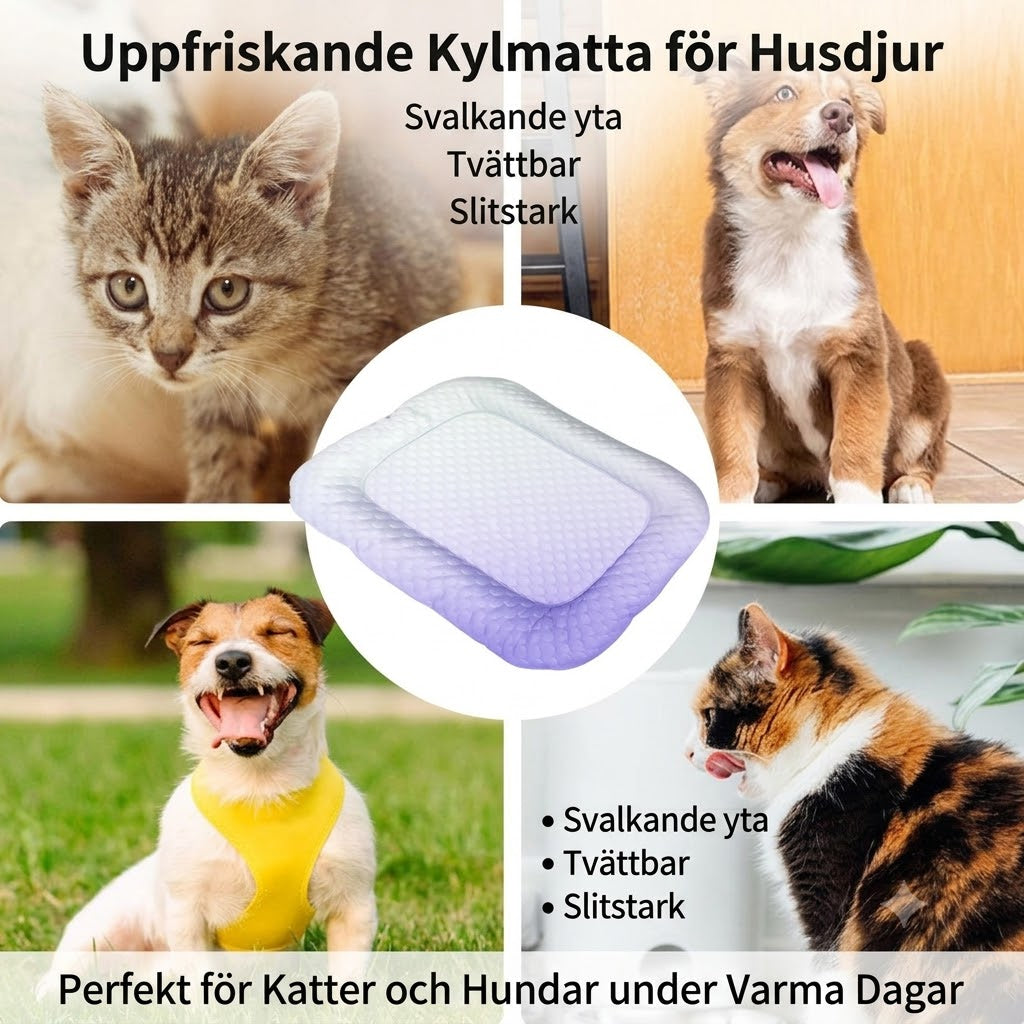 3D Kylmatta för Hundar och Katter – Andningsbar Sommarsäng med Gelkulor