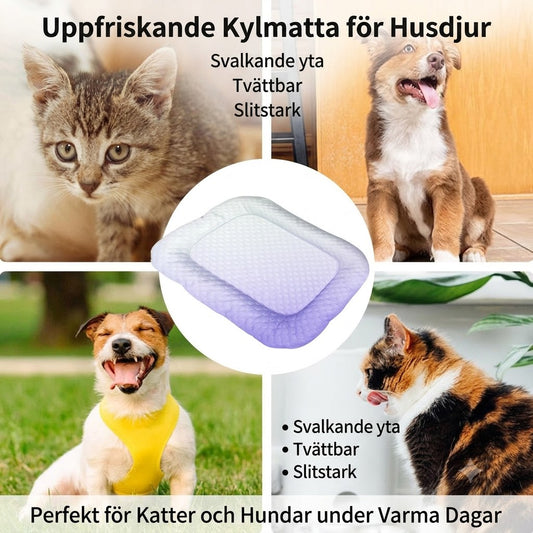 3D Kylmatta för Hundar och Katter – Andningsbar Sommarsäng med Gelkulor