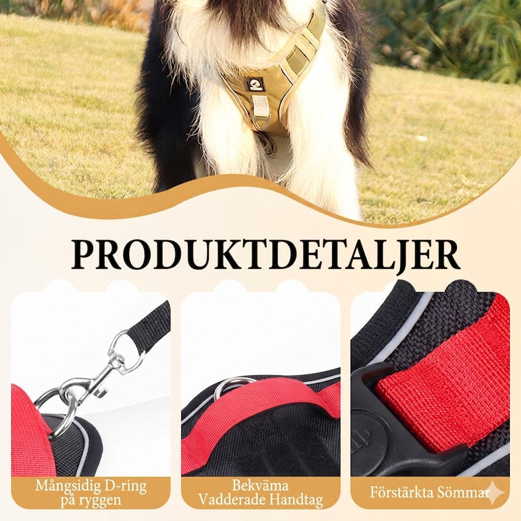 Antidrag-sele med Koppel & LED-halsband – Ergonomisk, Reflex & Perfekt för Nattpromenader