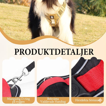 Antidrag-sele med Koppel & LED-halsband – Ergonomisk, Reflex & Perfekt för Nattpromenader