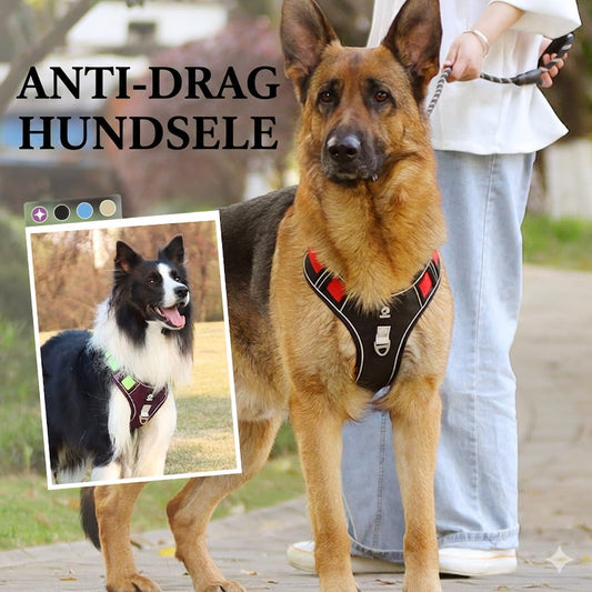 Antidrag-sele med Koppel & LED-halsband – Ergonomisk, Reflex & Perfekt för Nattpromenader
