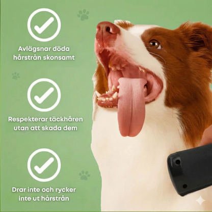 Professionell Hundborste & Underullskam – Minskar Fällning med 95% – Pälsvårdsverktyg för Långhåriga och Korthåriga Hundar