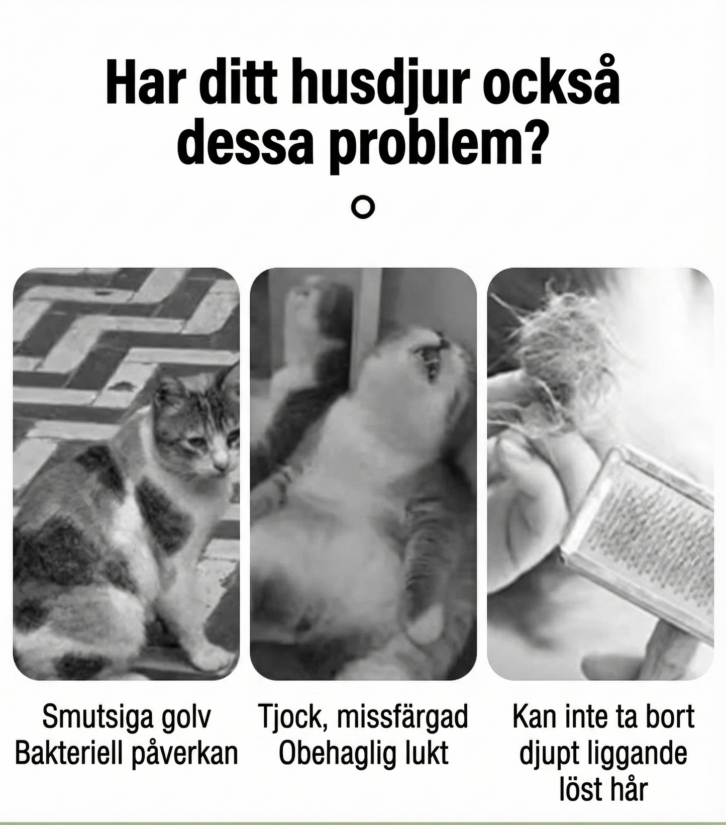 ProGroom Nordic™Professionell Karda för Hund & Katt (Självrengörande)
