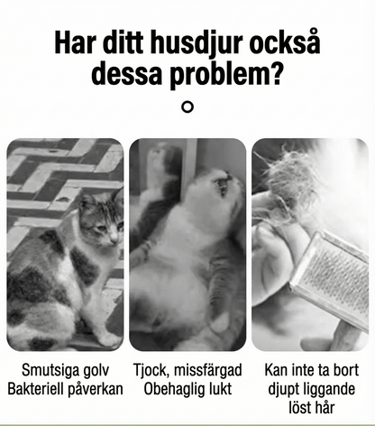 ProGroom Nordic™Professionell Karda för Hund & Katt (Självrengörande)