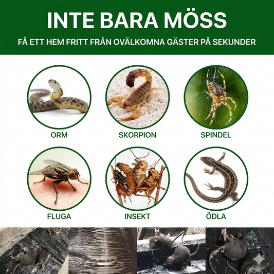 🔥 Storsäljare 🔥 Kraftig Limfälla för Insekter & Skadedjur (Fiberduk)