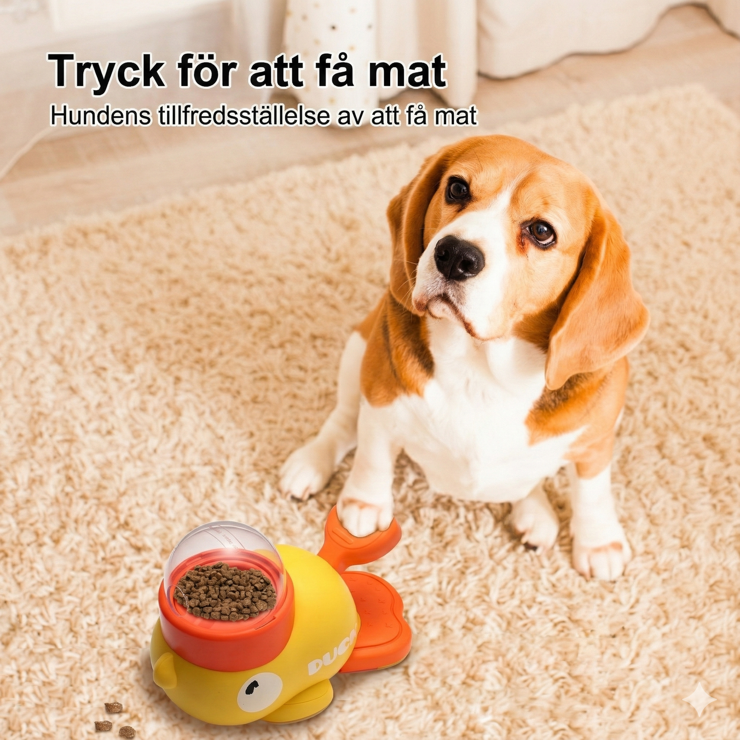 Automatisk belöningsautomat för träning