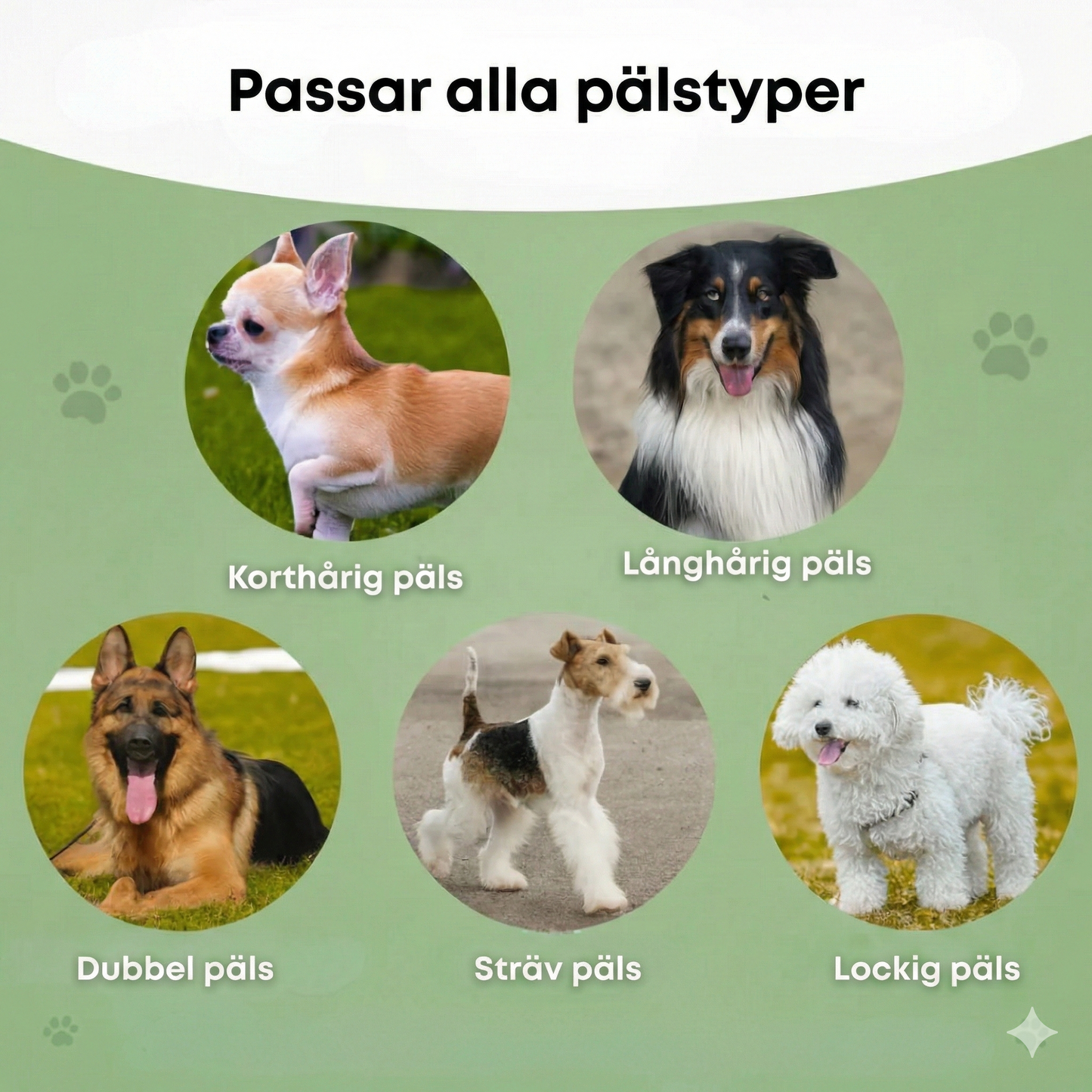 Professionell Hundborste & Underullskam – Minskar Fällning med 95% – Pälsvårdsverktyg för Långhåriga och Korthåriga Hundar