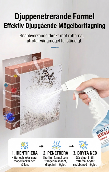 Kraftfull Mögelborttagning Spray – Effektivt Rengöringsmedel mot Mögel och Svamp