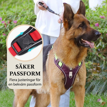 Antidrag-sele med Koppel & LED-halsband – Ergonomisk, Reflex & Perfekt för Nattpromenader
