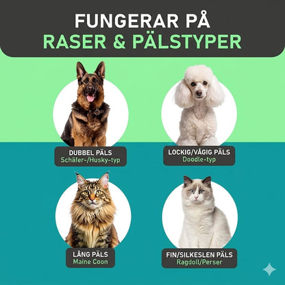 Dubbelsidig Ryktborste för Hund & Katt – Minskar Fällning & Ger Mjuk Päls