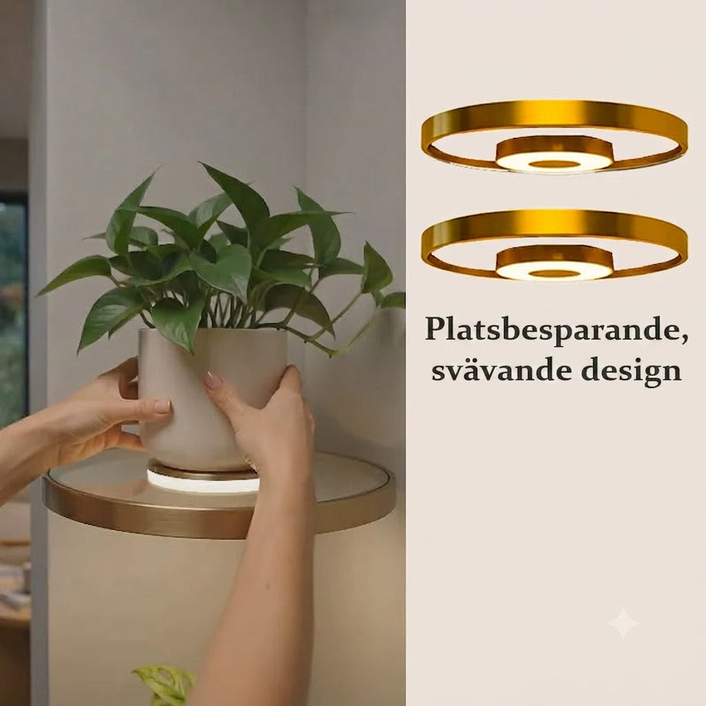 Svävande Vägghylla med Ambient LED-ljus 🪴 Modern Växtdisplay