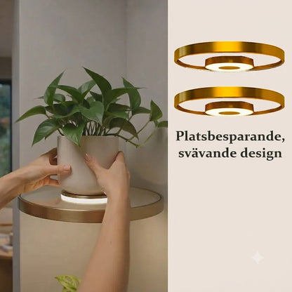 Svävande Vägghylla med Ambient LED-ljus 🪴 Modern Växtdisplay
