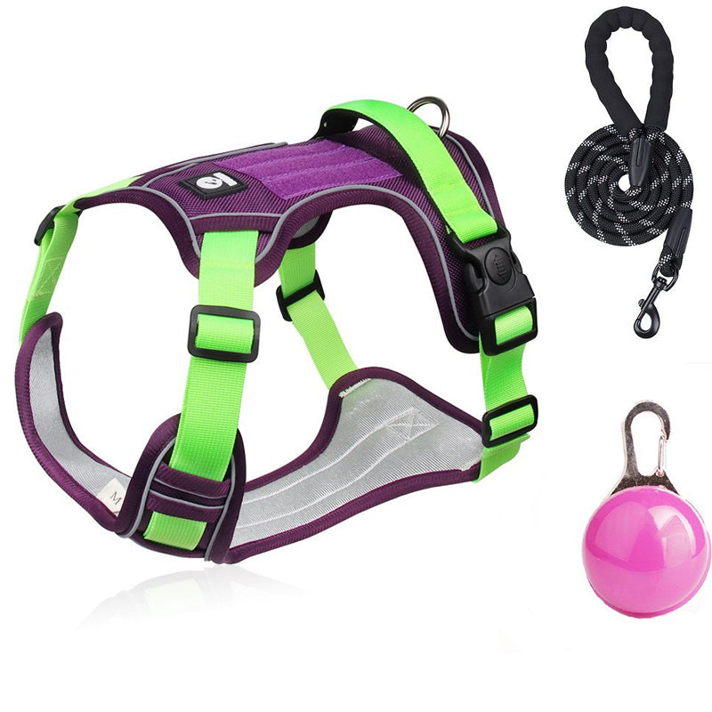 Antidrag-sele med Koppel & LED-halsband – Ergonomisk, Reflex & Perfekt för Nattpromenader