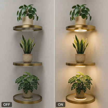 Svävande Vägghylla med Ambient LED-ljus 🪴 Modern Växtdisplay