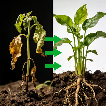 Soil Pro Activator – Jordförbättrare för Snabb Växtlighet